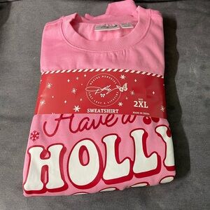 Holly Dolly Pink Sweatshirt 2x brand new smoke free pet free
